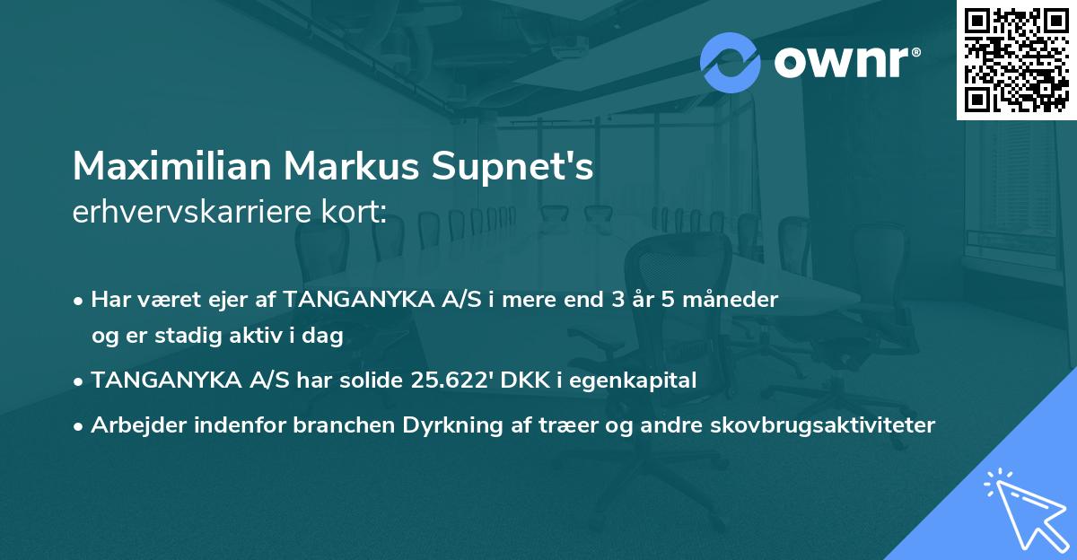 Maximilian Markus Supnet's erhvervskarriere kort