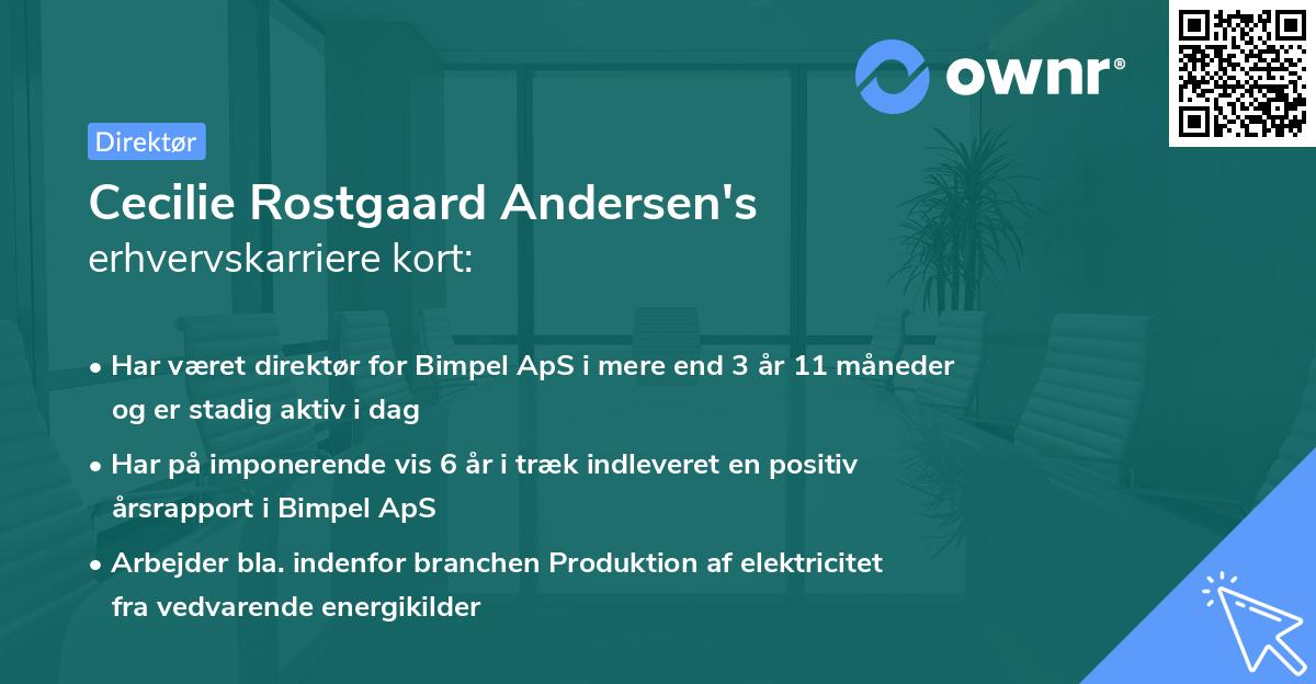 Cecilie Rostgaard Andersen's erhvervskarriere kort