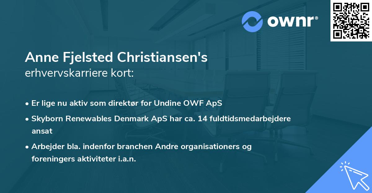 Anne Fjelsted Christiansen's erhvervskarriere kort