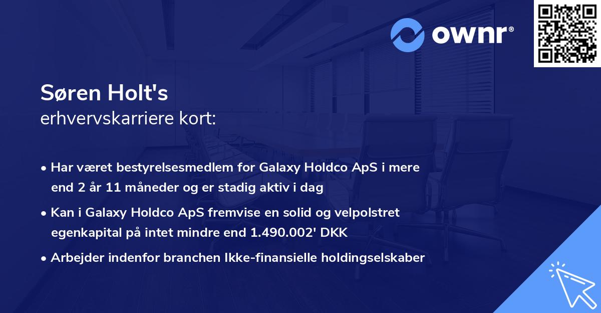 Søren Holt's erhvervskarriere kort