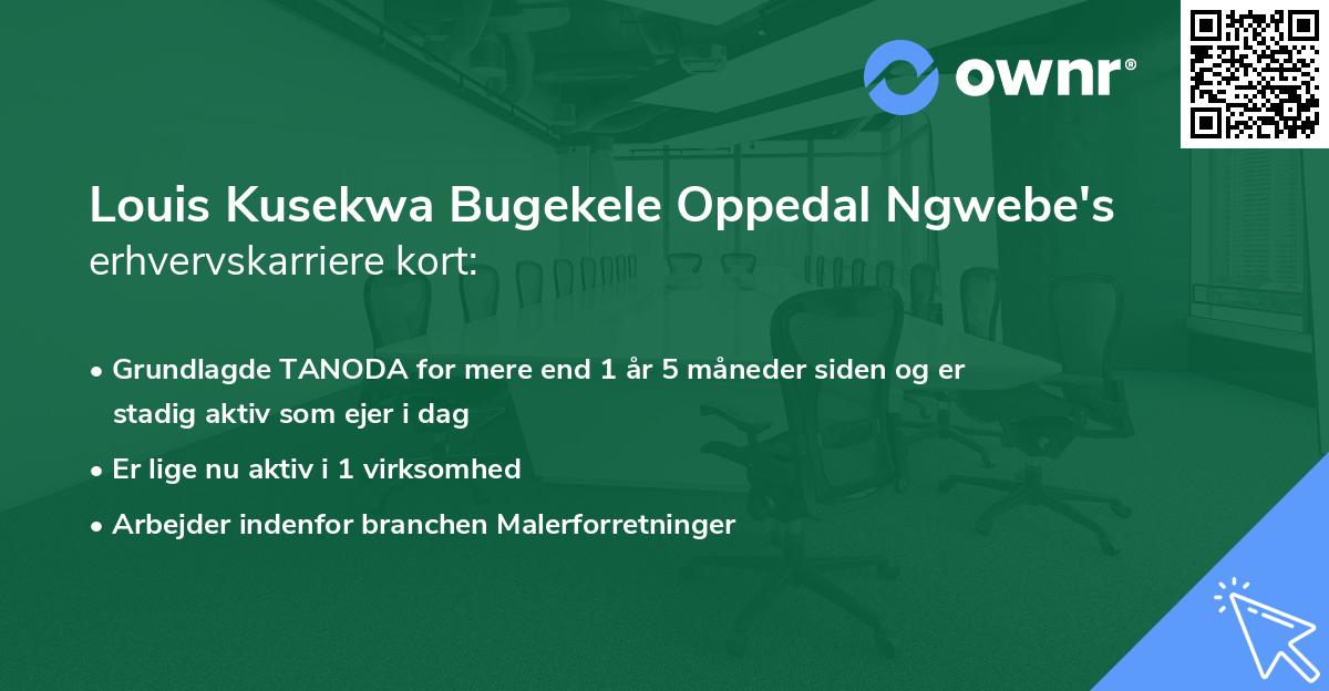 Louis Kusekwa Bugekele Oppedal Ngwebe's erhvervskarriere kort