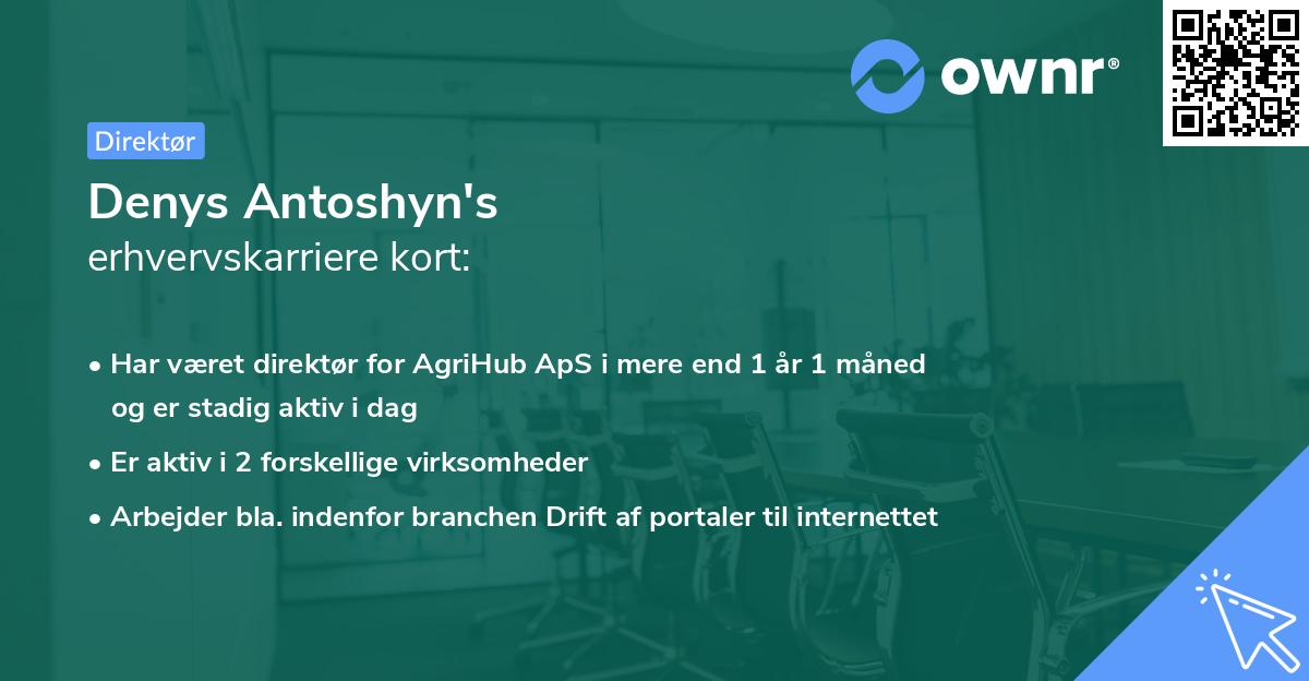 Denys Antoshyn's erhvervskarriere kort