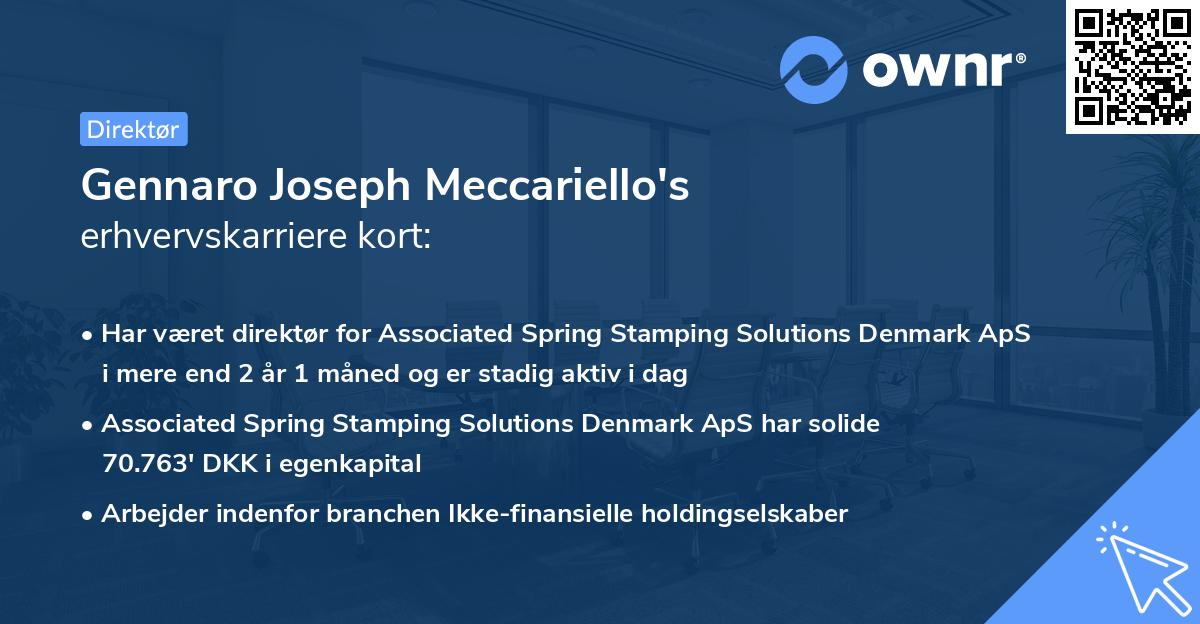 Gennaro Joseph Meccariello's erhvervskarriere kort