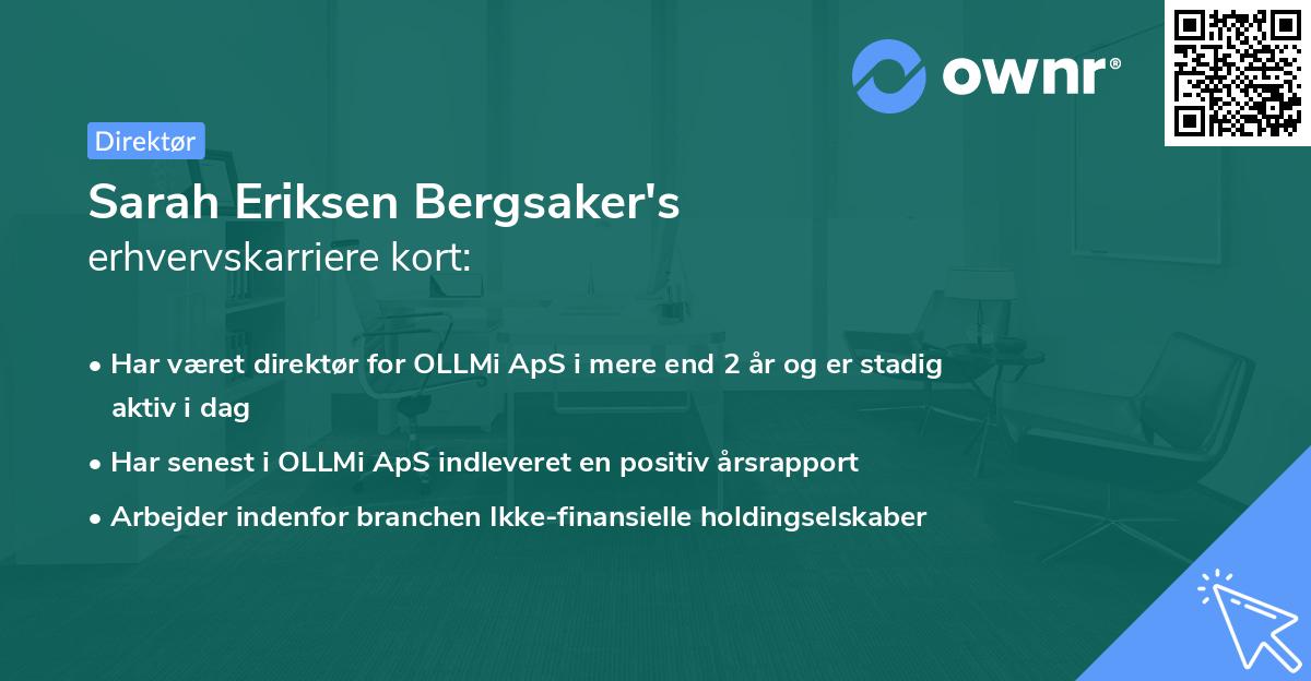 Sarah Eriksen Bergsaker's erhvervskarriere kort