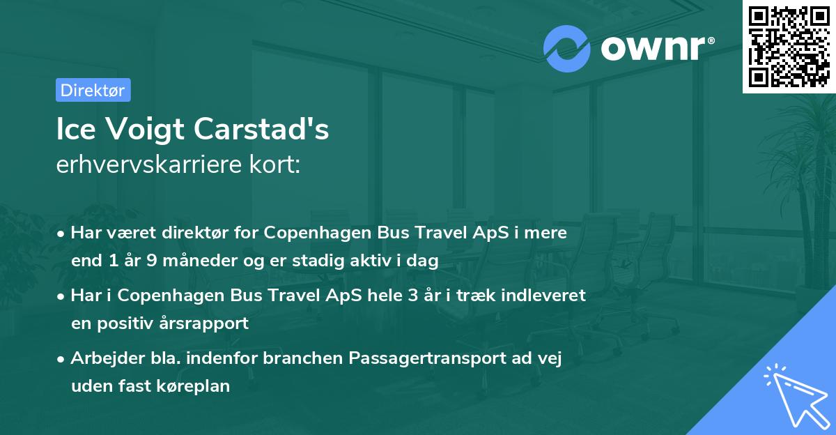 Ice Voigt Carstad's erhvervskarriere kort