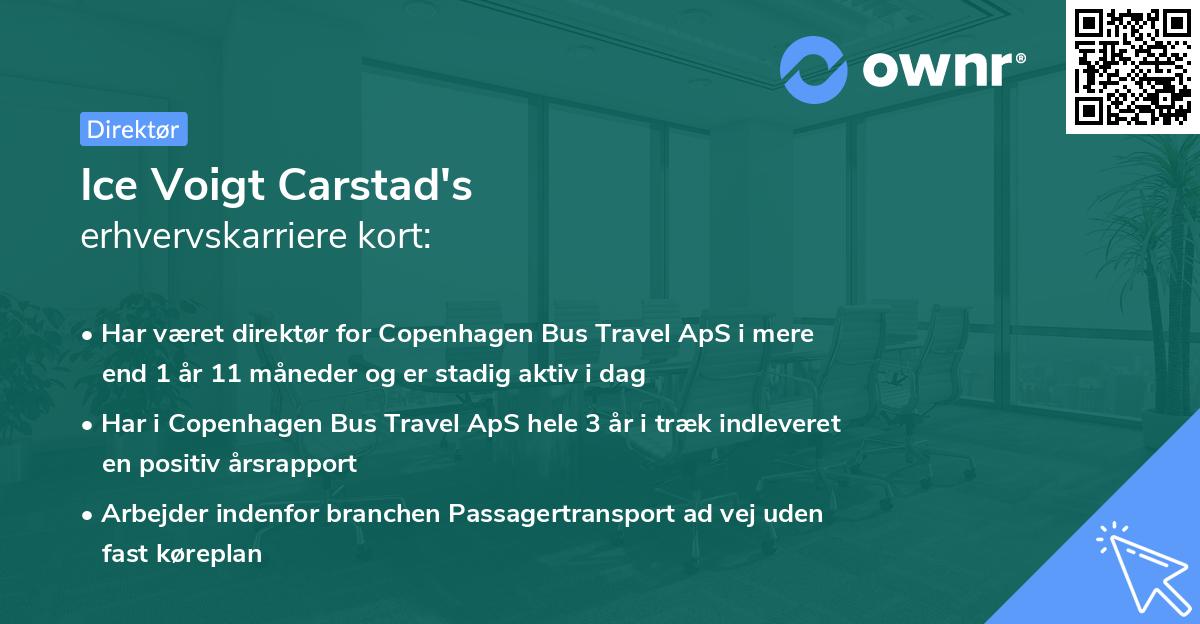 Ice Voigt Carstad's erhvervskarriere kort