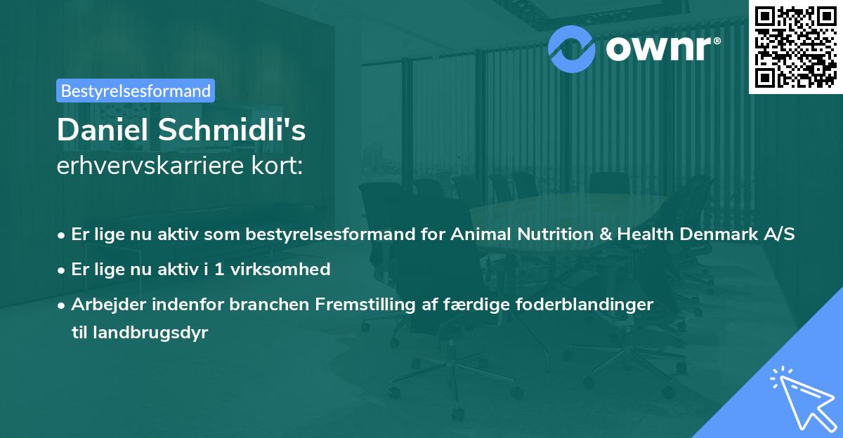 Daniel Schmidli's erhvervskarriere kort