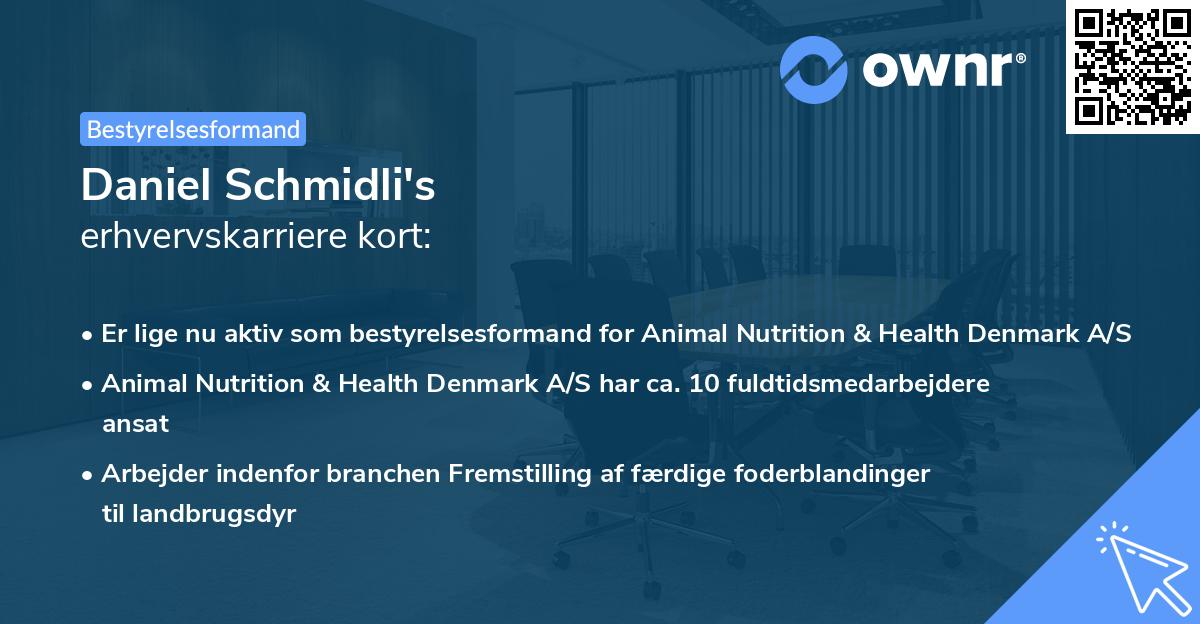 Daniel Schmidli's erhvervskarriere kort