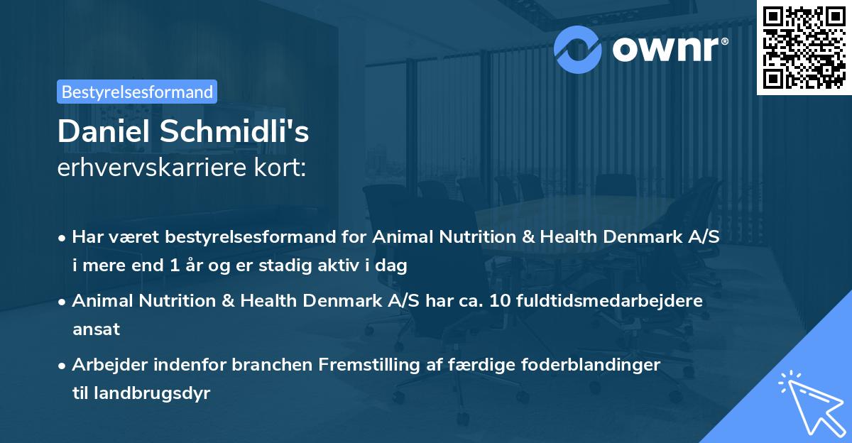 Daniel Schmidli's erhvervskarriere kort