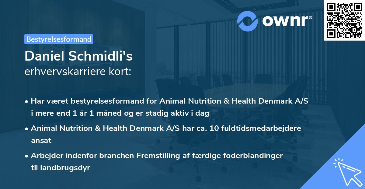Daniel Schmidli's erhvervskarriere kort