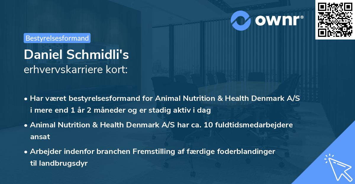Daniel Schmidli's erhvervskarriere kort