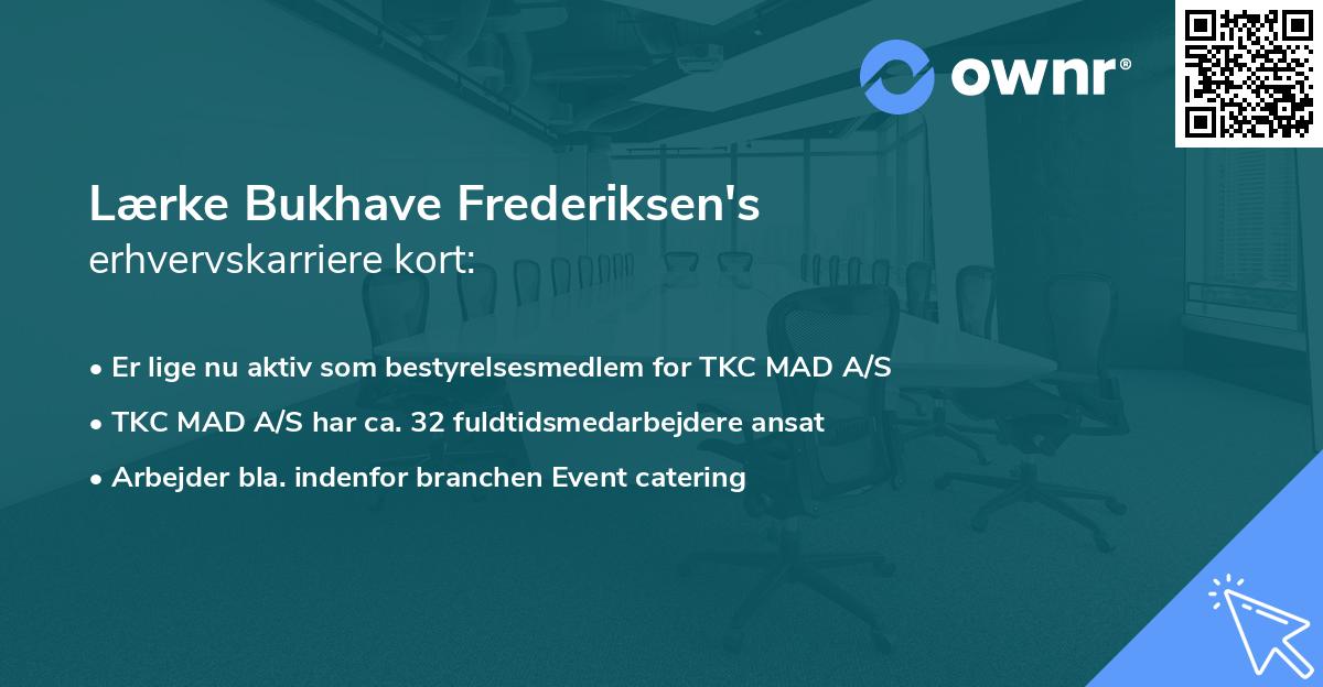 Lærke Bukhave Frederiksen's erhvervskarriere kort