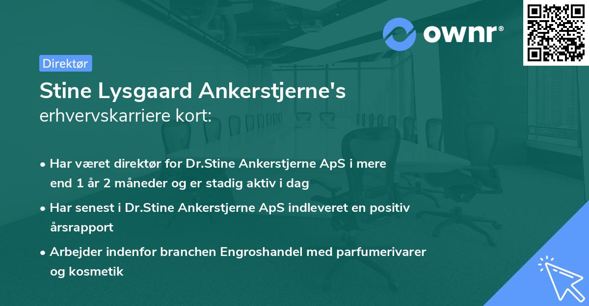 Stine Lysgaard Ankerstjerne's erhvervskarriere kort