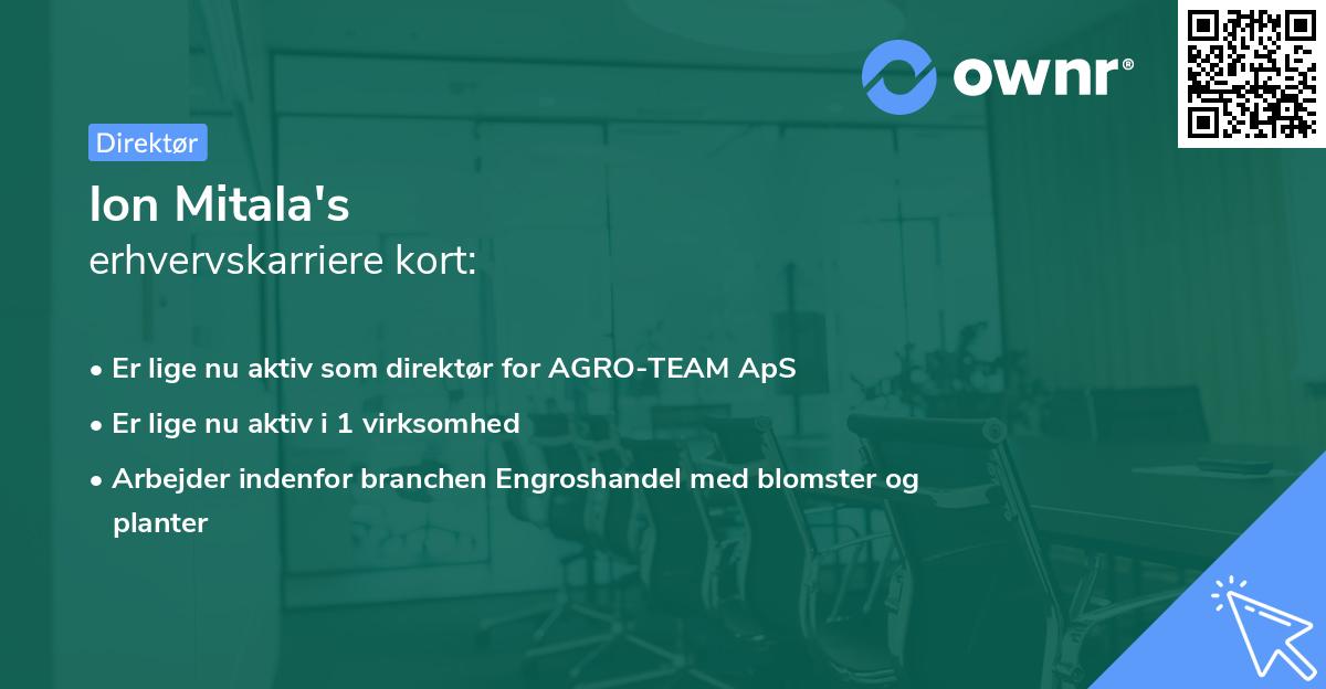 Ion Mitala's erhvervskarriere kort