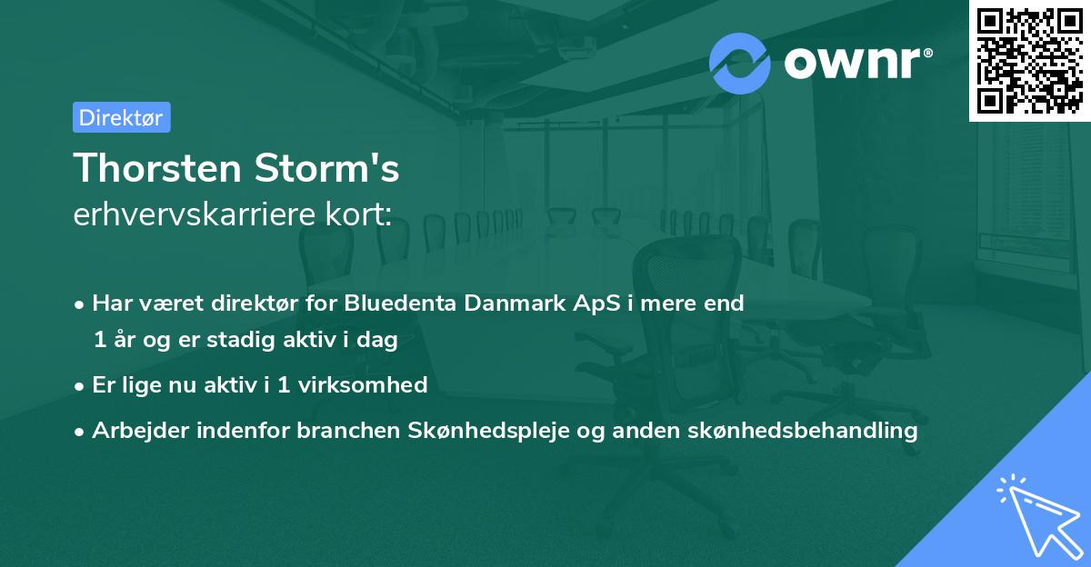 Thorsten Storm's erhvervskarriere kort