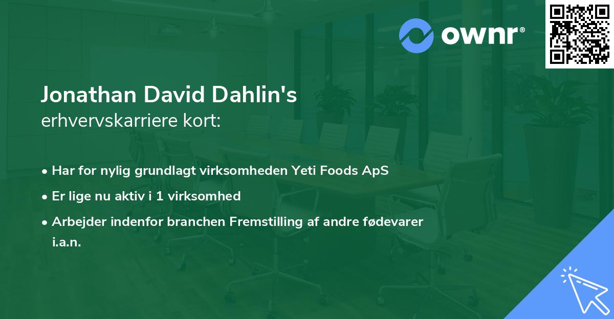 Jonathan David Dahlin's erhvervskarriere kort
