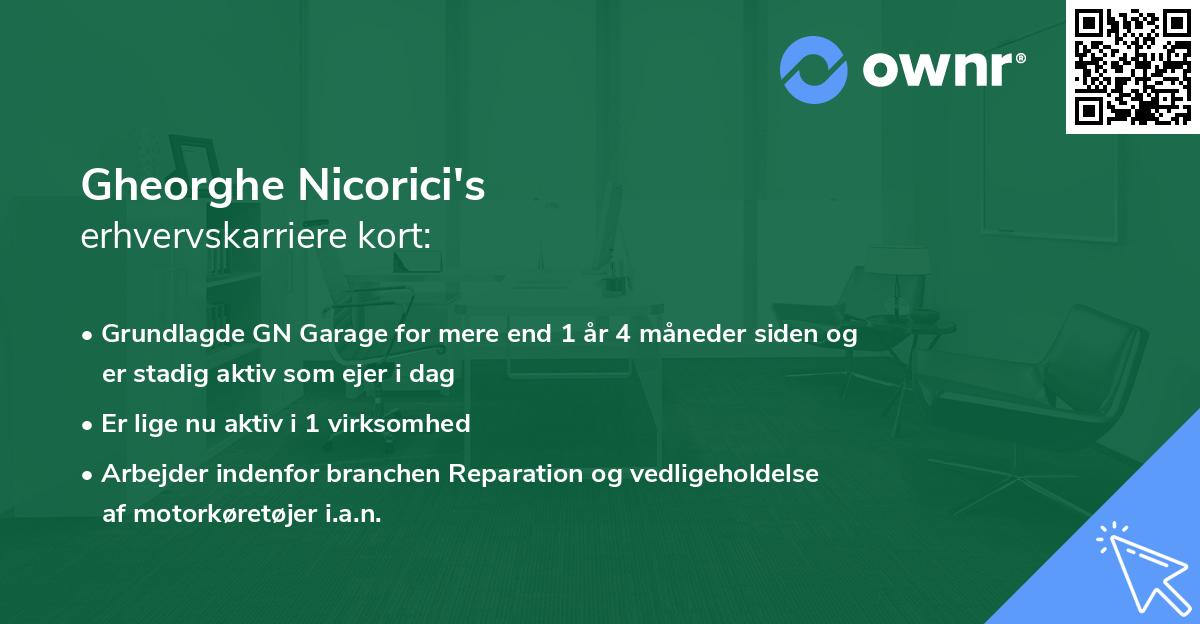 Gheorghe Nicorici's erhvervskarriere kort