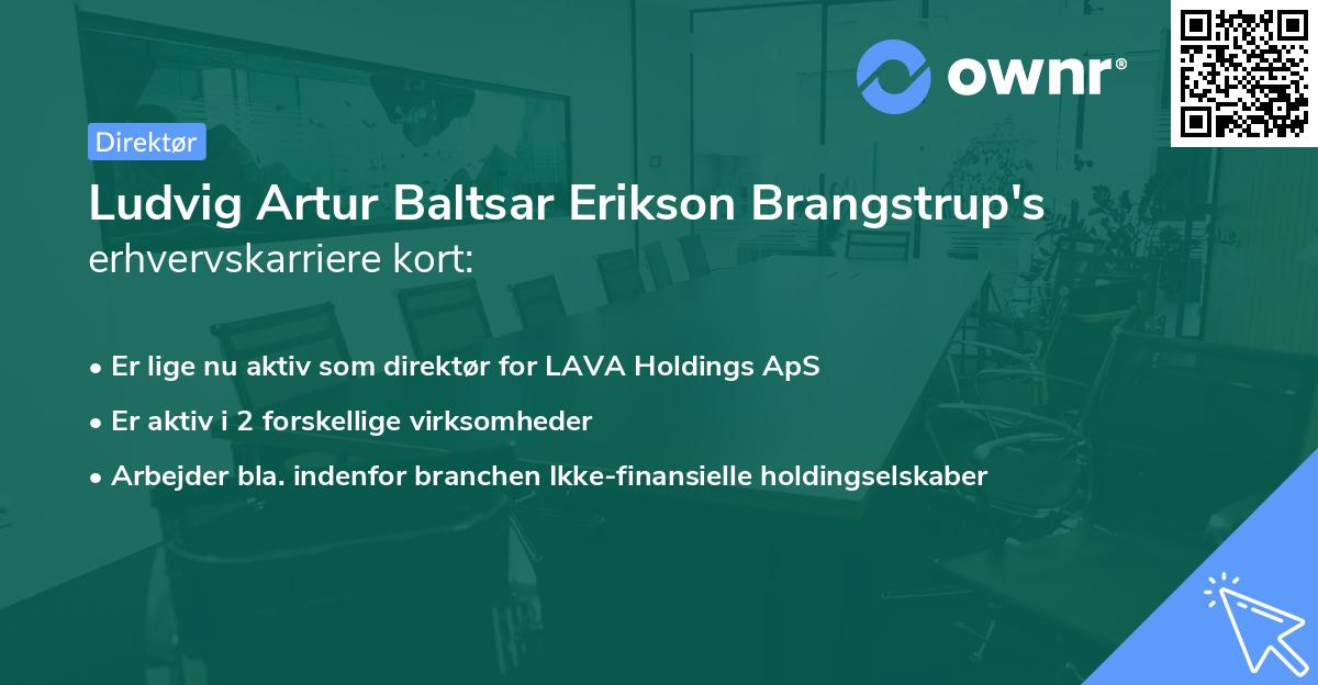 Ludvig Artur Baltsar Erikson Brangstrup's erhvervskarriere kort