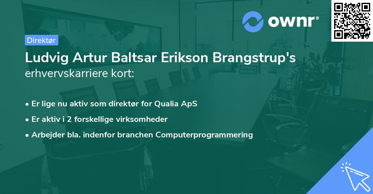 Ludvig Artur Baltsar Erikson Brangstrup's erhvervskarriere kort
