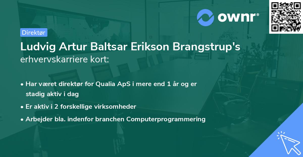 Ludvig Artur Baltsar Erikson Brangstrup's erhvervskarriere kort