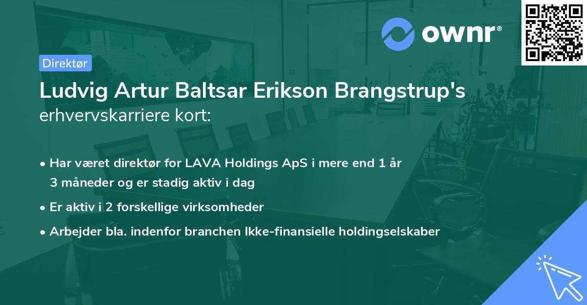 Ludvig Artur Baltsar Erikson Brangstrup's erhvervskarriere kort