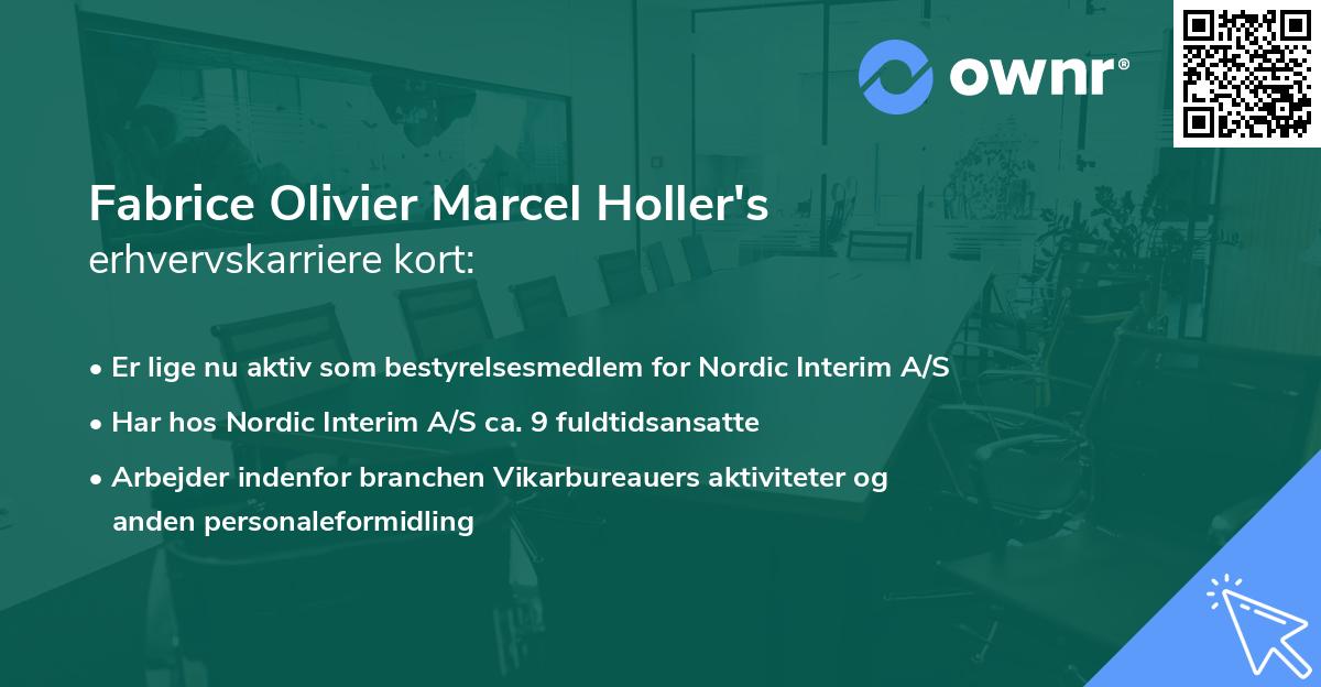 Fabrice Olivier Marcel Holler's erhvervskarriere kort
