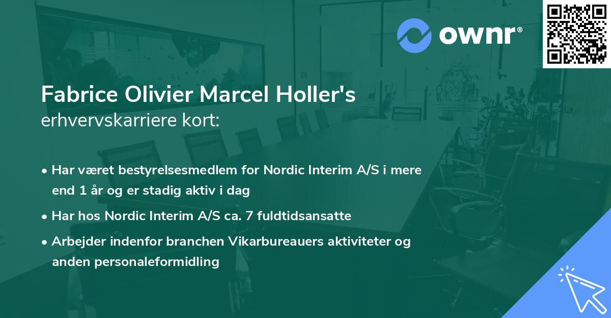 Fabrice Olivier Marcel Holler's erhvervskarriere kort