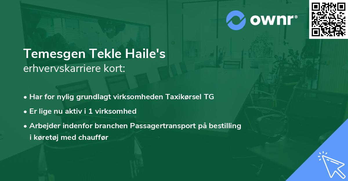 Temesgen Tekle Haile's erhvervskarriere kort