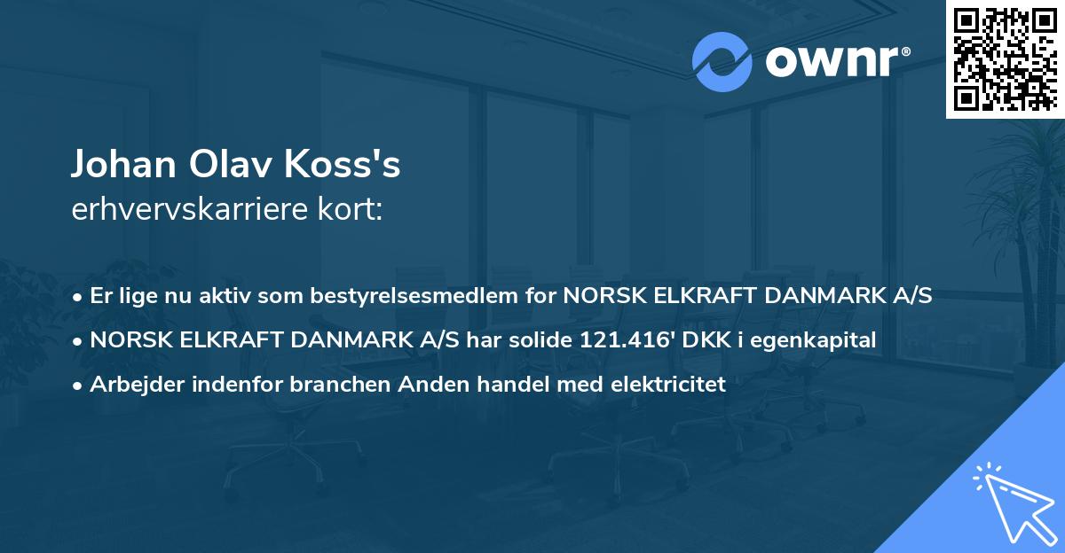 Johan Olav Koss's erhvervskarriere kort