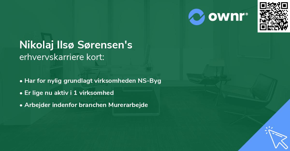 Nikolaj Ilsø Sørensen's erhvervskarriere kort