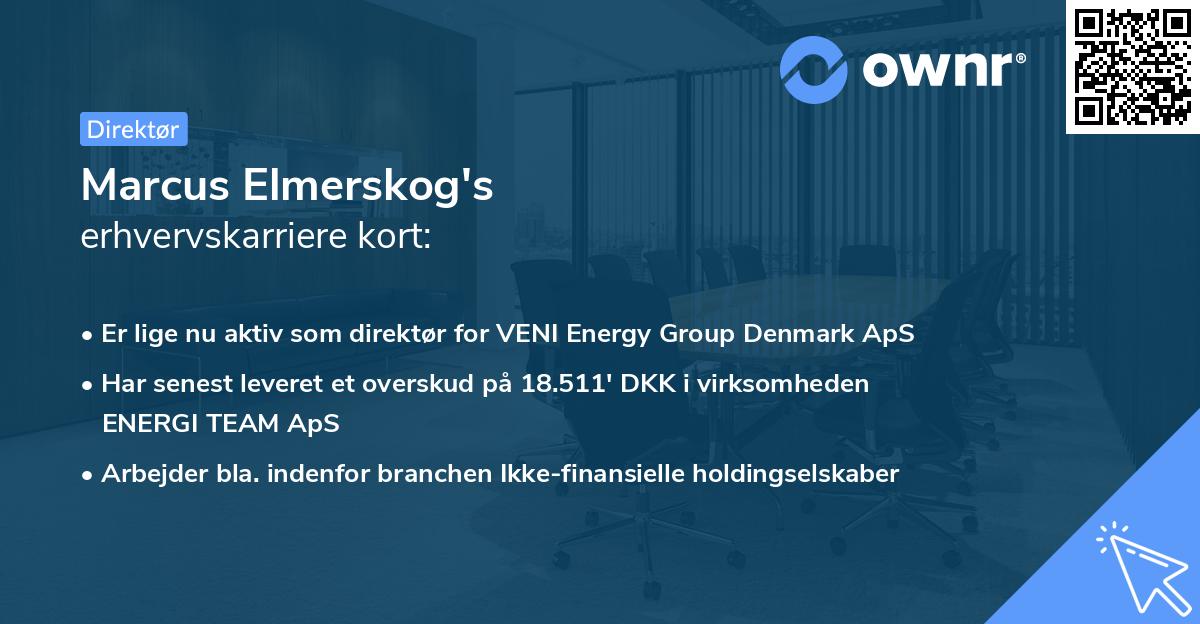 Marcus Elmerskog's erhvervskarriere kort