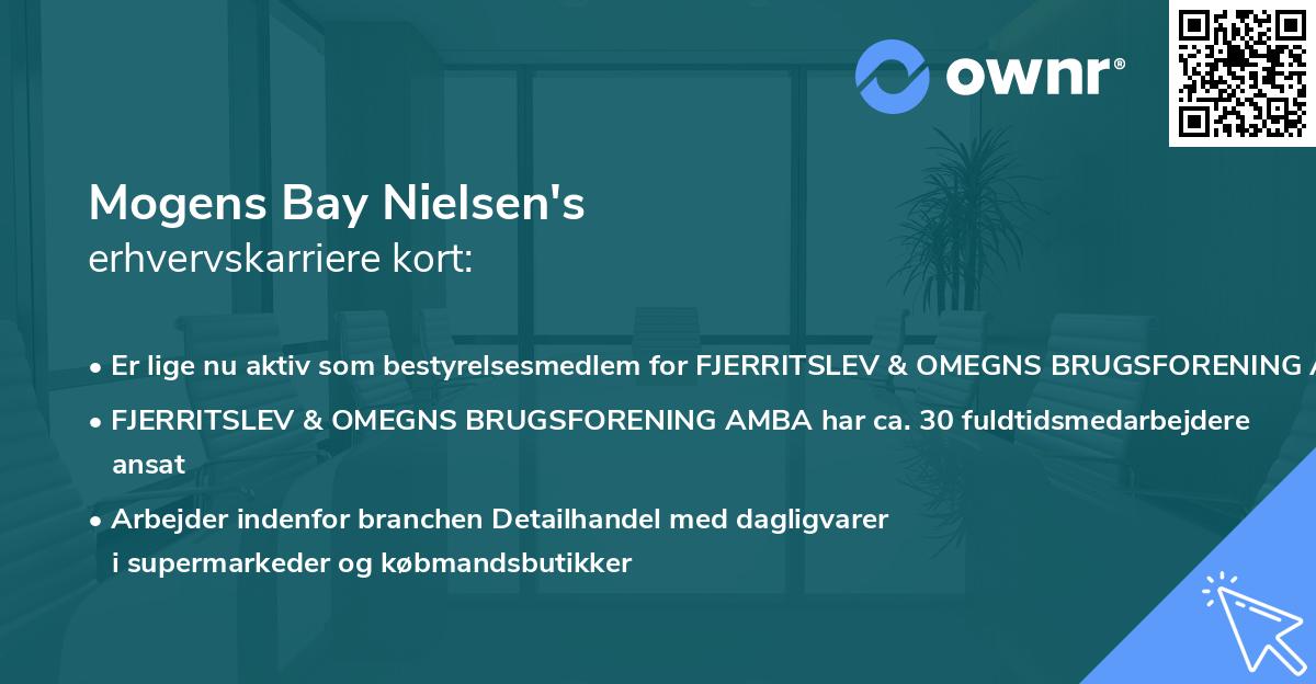 Mogens Bay Nielsen's erhvervskarriere kort