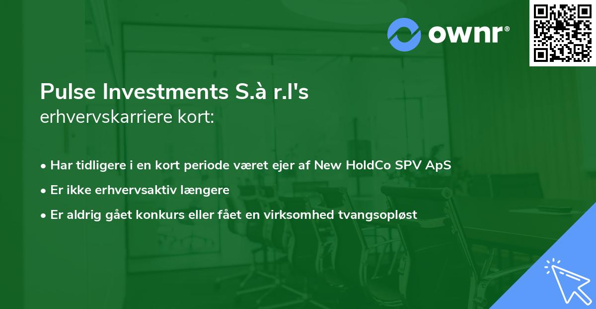 Pulse Investments S.à r.l's erhvervskarriere kort