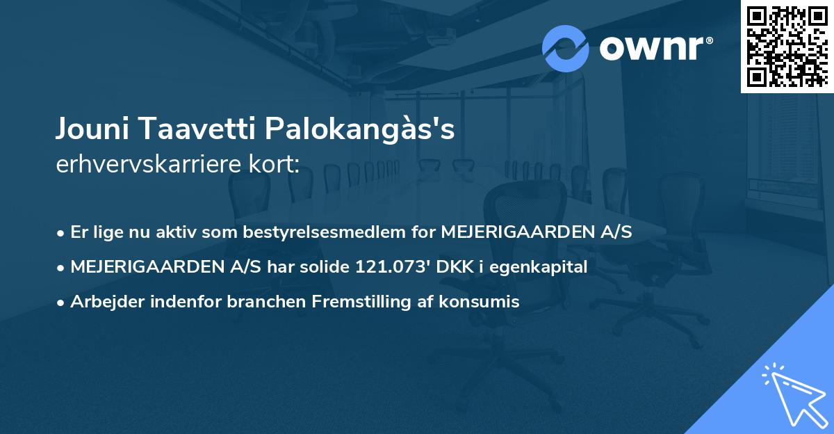 Jouni Taavetti Palokangàs's erhvervskarriere kort