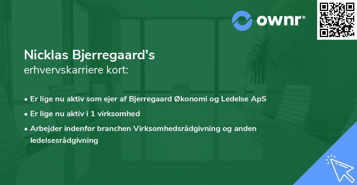 Nicklas Bjerregaard's erhvervskarriere kort