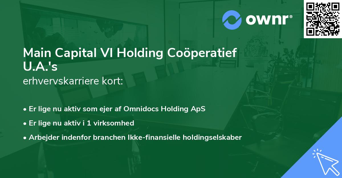 Main Capital VI Holding Coöperatief U.A.'s erhvervskarriere kort