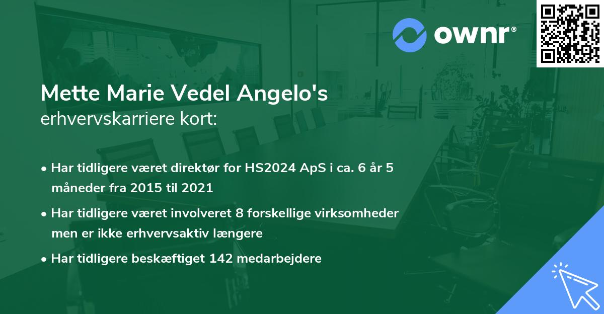 Mette Marie Vedel Angelo's erhvervskarriere kort