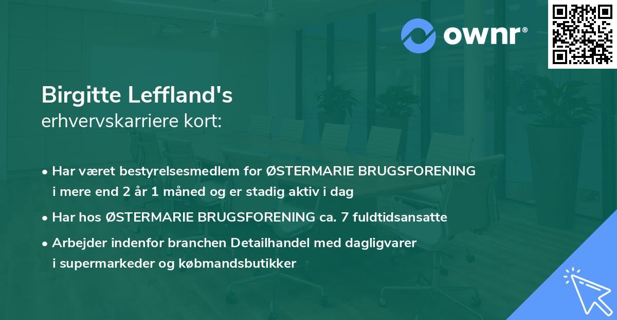 Birgitte Leffland's erhvervskarriere kort