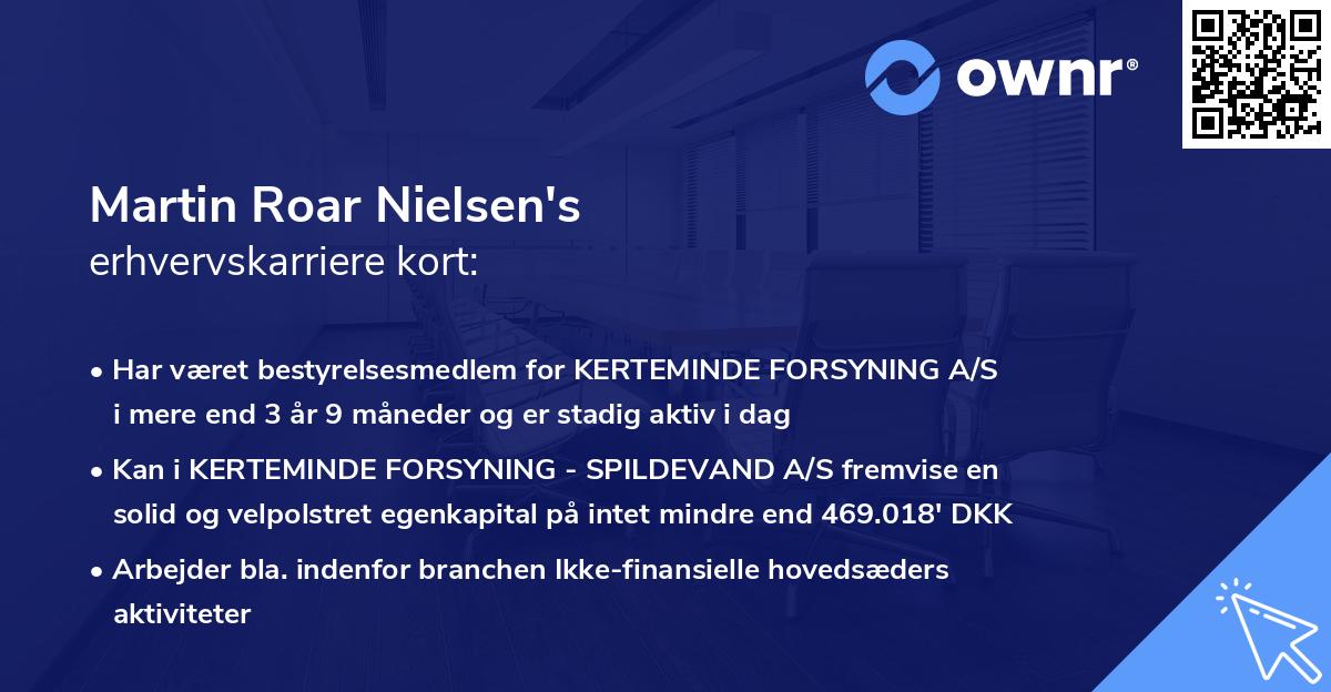 Martin Roar Nielsen's erhvervskarriere kort