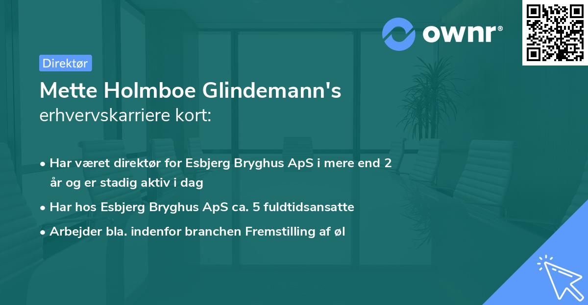 Mette Holmboe Glindemann's erhvervskarriere kort
