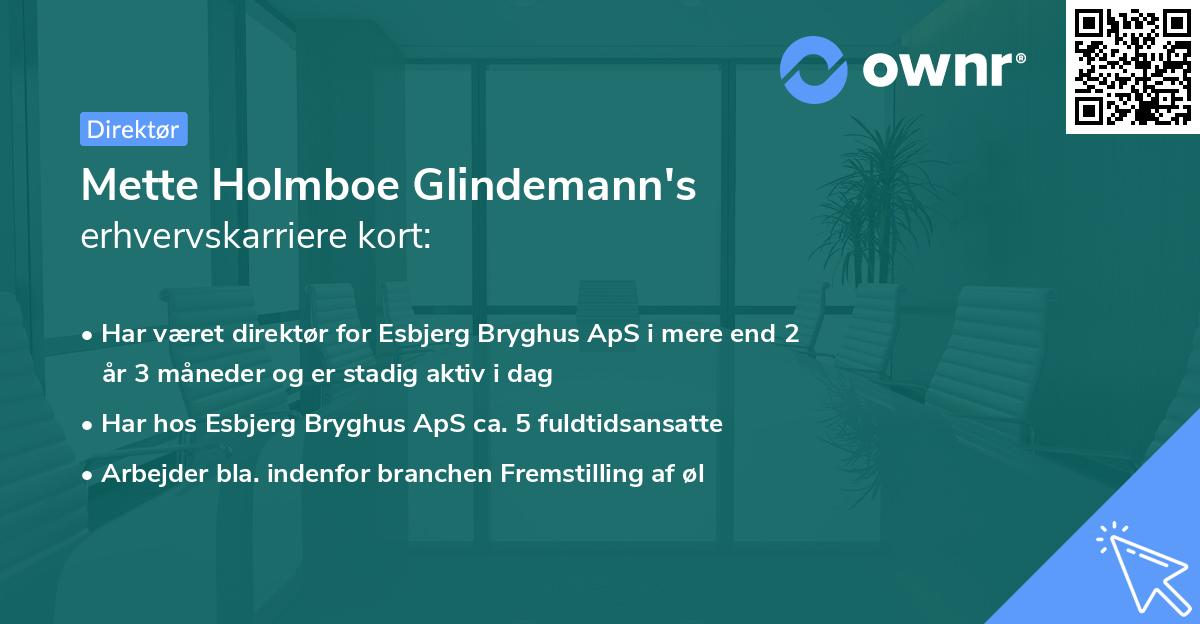 Mette Holmboe Glindemann's erhvervskarriere kort