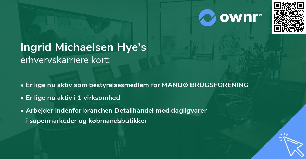 Ingrid Michaelsen Hye's erhvervskarriere kort