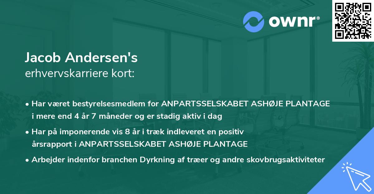 Jacob Andersen's erhvervskarriere kort