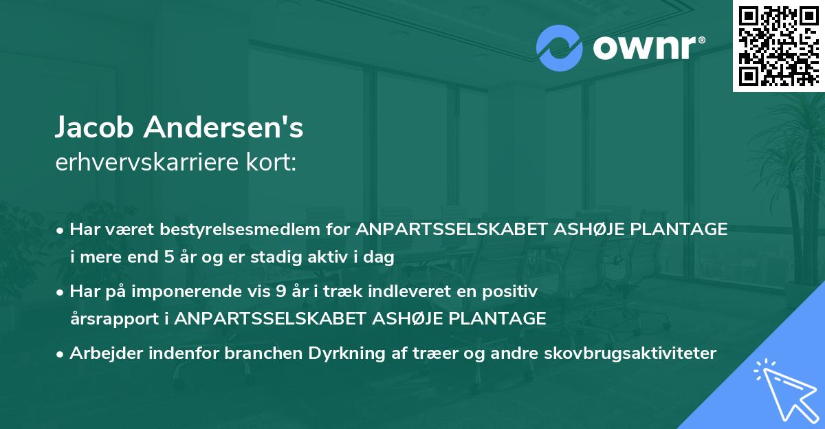 Jacob Andersen's erhvervskarriere kort
