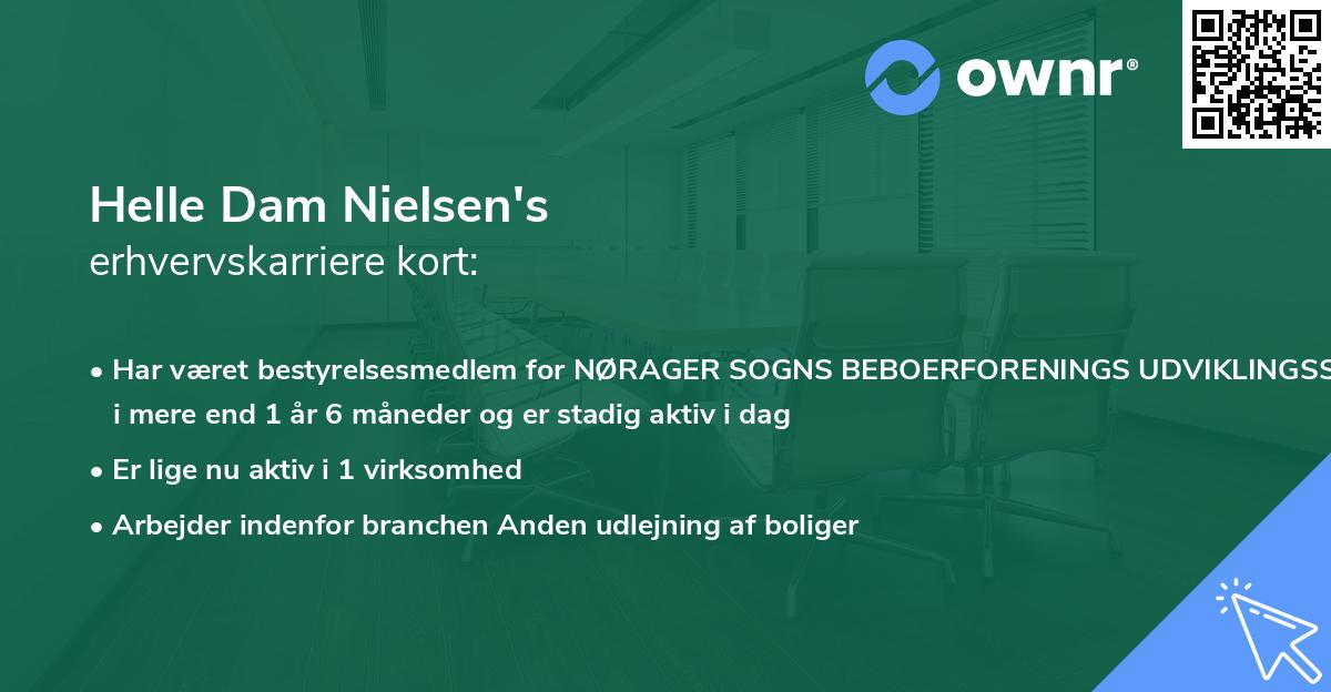 Helle Dam Nielsen's erhvervskarriere kort