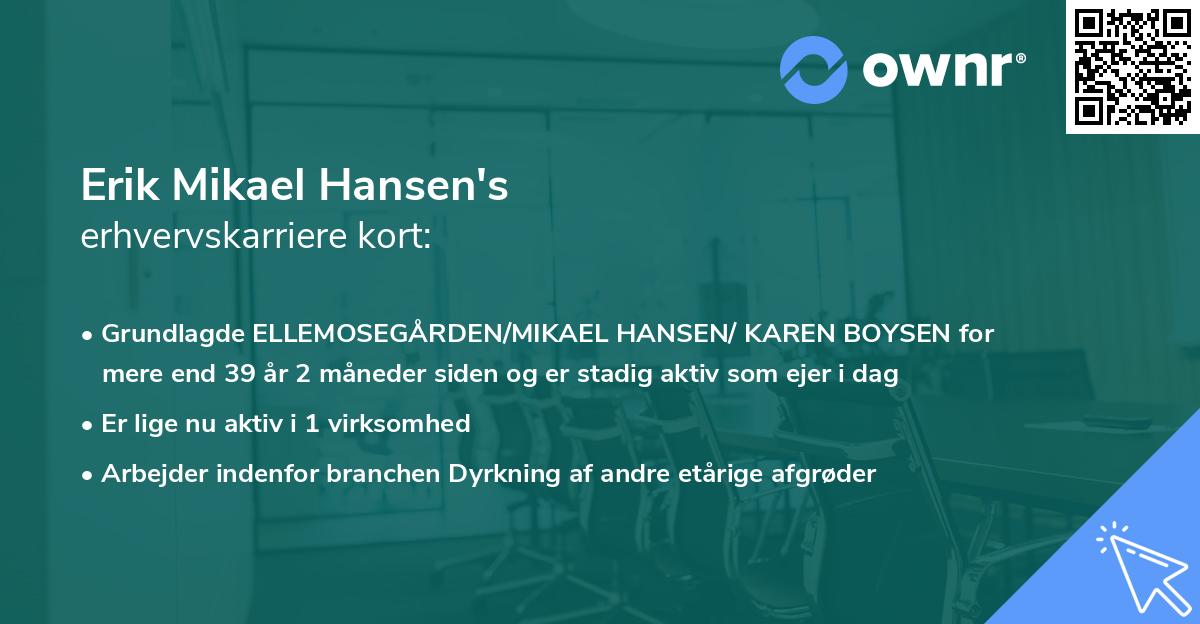 Erik Mikael Hansen's erhvervskarriere kort