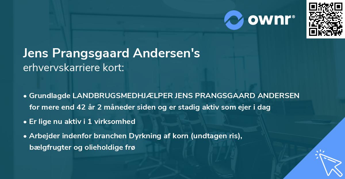 Jens Prangsgaard Andersen's erhvervskarriere kort