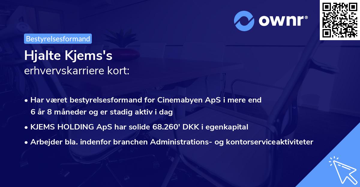 Hjalte Kjems's erhvervskarriere kort