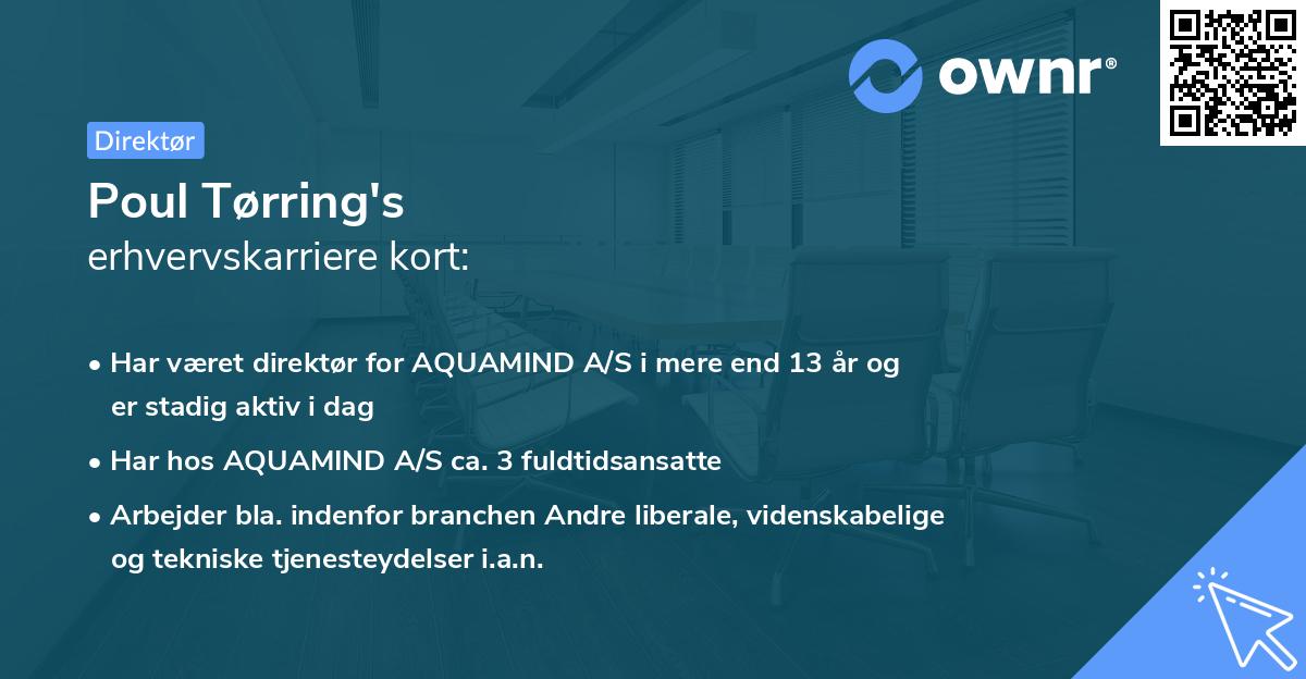 Poul Tørring's erhvervskarriere kort