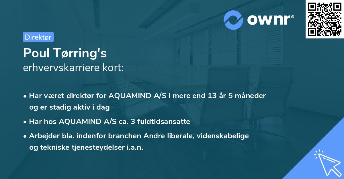 Poul Tørring's erhvervskarriere kort